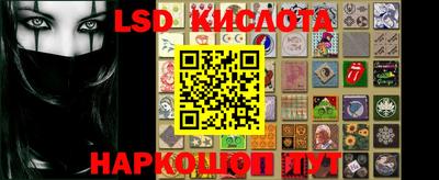 мяу мяу мука Краснознаменск