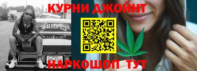 крисы Кунгур
