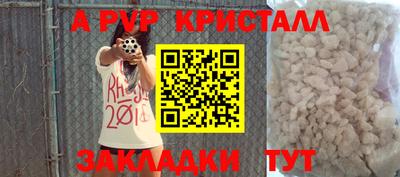 крисы Кунгур