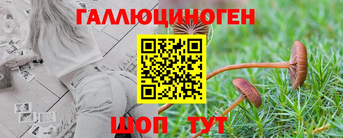 Псилоцибиновые грибы прущие грибы  дарнет шоп  Гусиноозёрск  Вход с VPN  Псилоцибиновые грибы мухоморы 